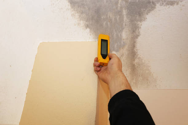 Best Mold Odor Removal Services  in Palm Springs, CA