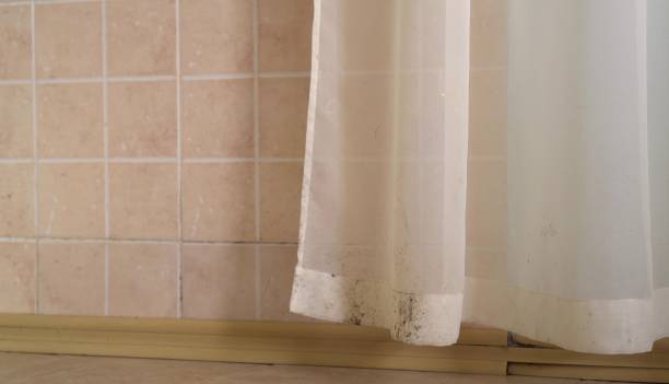 Best Mold Remediation for Healthcare Facilities  in Palm Springs, CA