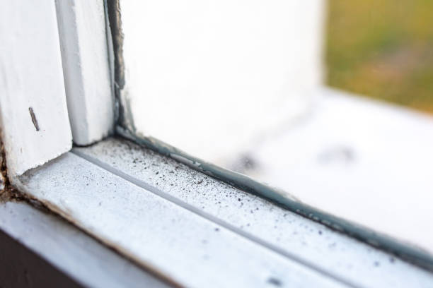 Best Mold Removal for HVAC Installations  in Palm Springs, CA