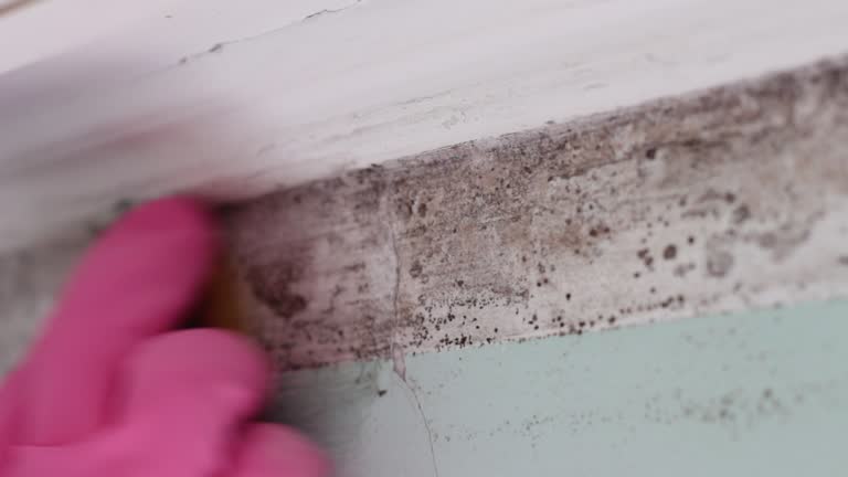 Forensic Mold Investigation in Palm Springs, CA